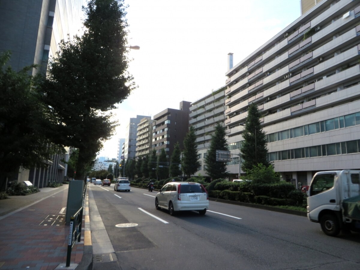 目白通り