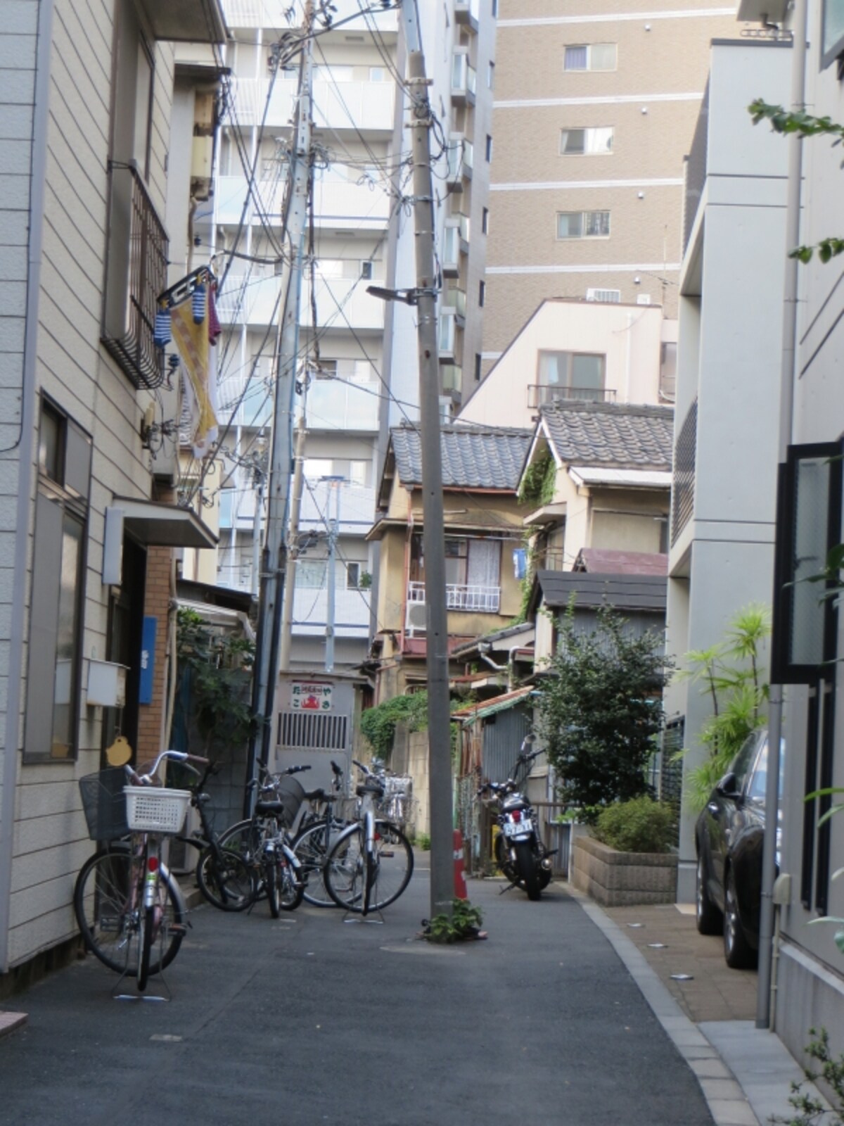 細い道