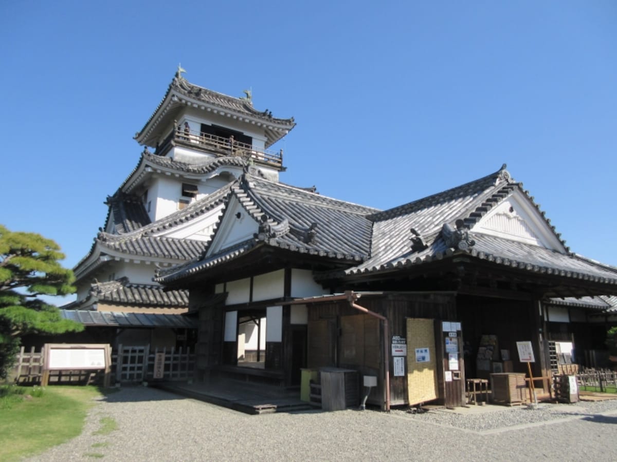 クルーズ
