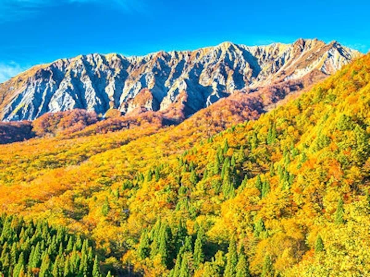 奥大山、鍵掛峠の紅葉