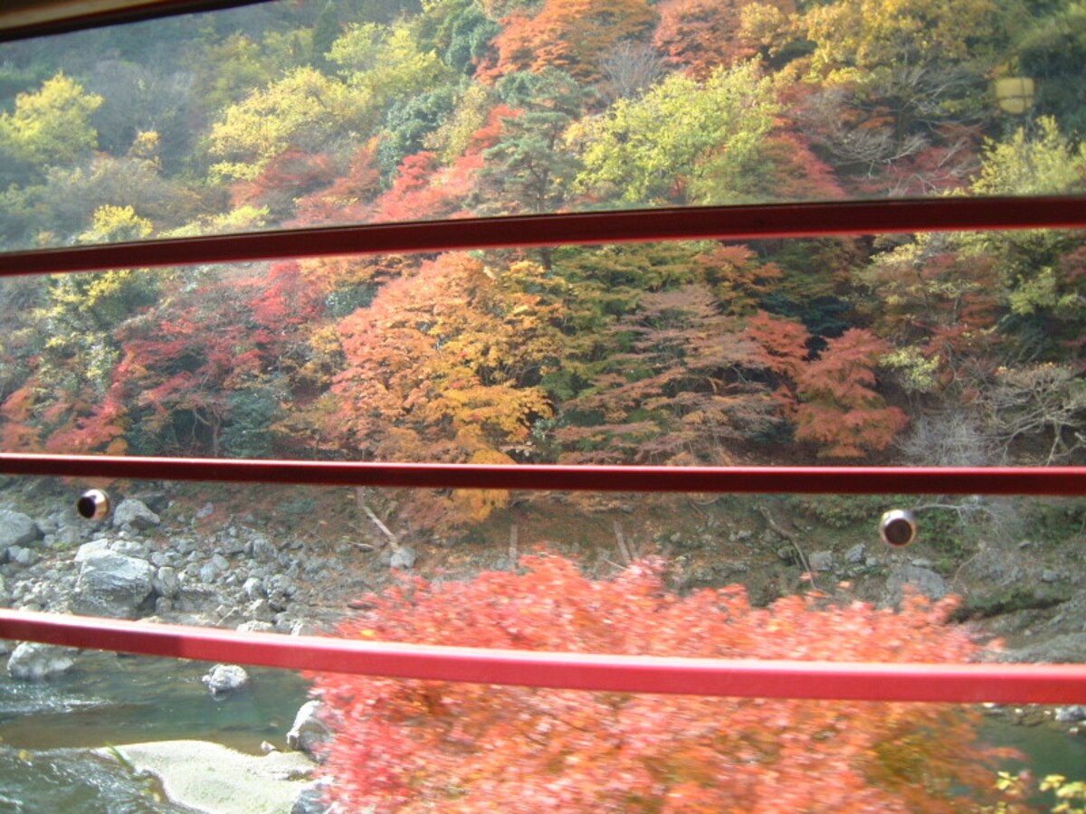 嵯峨野観光鉄道・トロッコ列車の車窓(2)/カラフルな紅葉