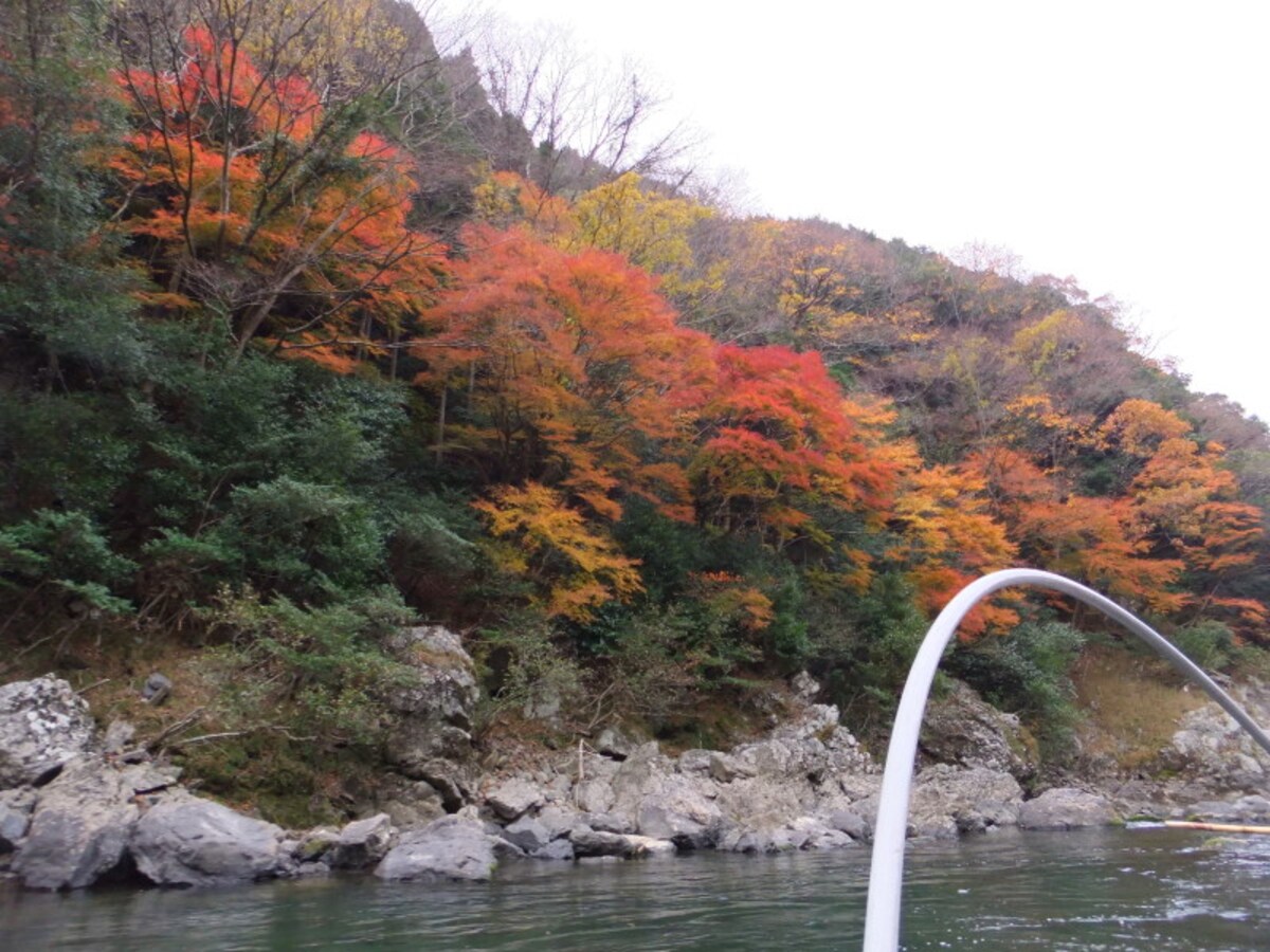 保津川下りから眺める紅葉(1)