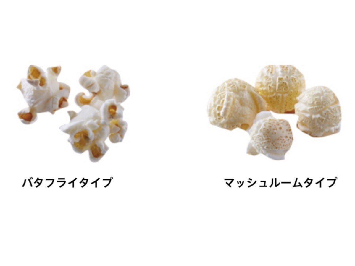 2015年・個性ある家電
