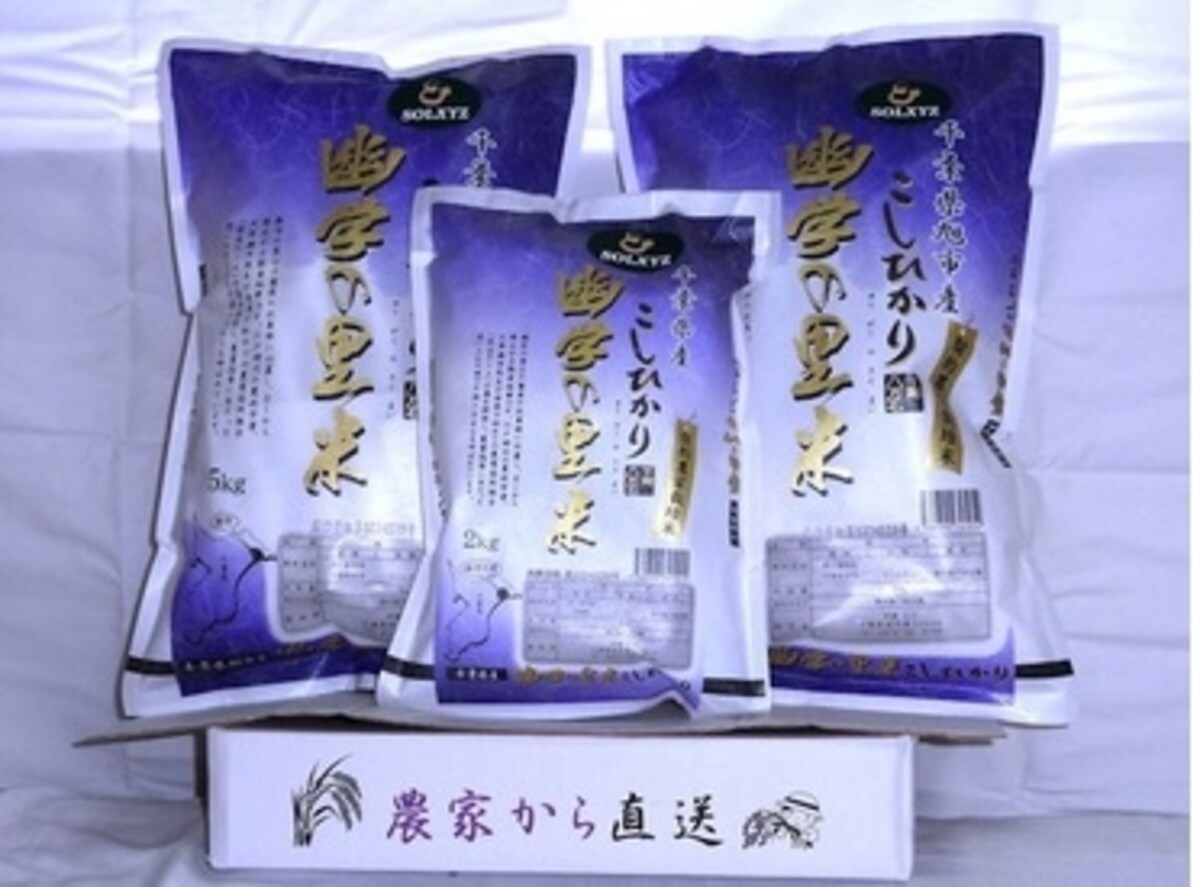 ソルクシーズ　株主優待