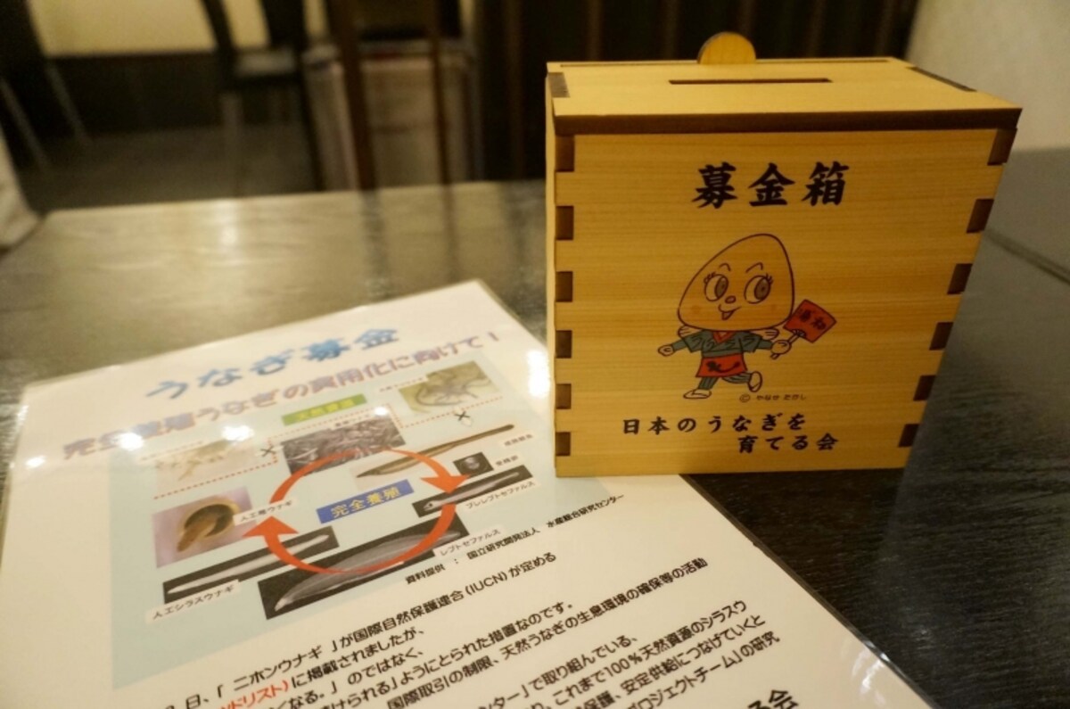 広がりを見せる「日本のうなぎを育てる会」の募金箱。
