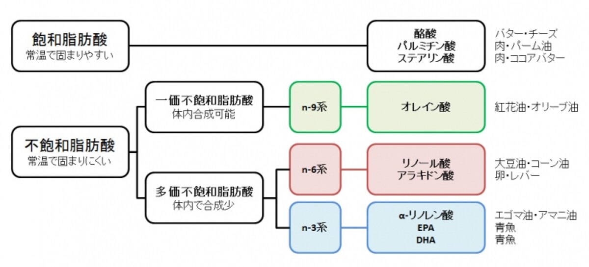 脂肪酸の分類
