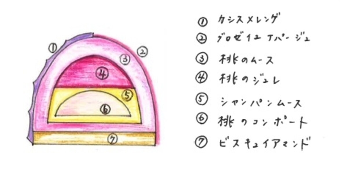 ピーチシャンパーニュ　断面