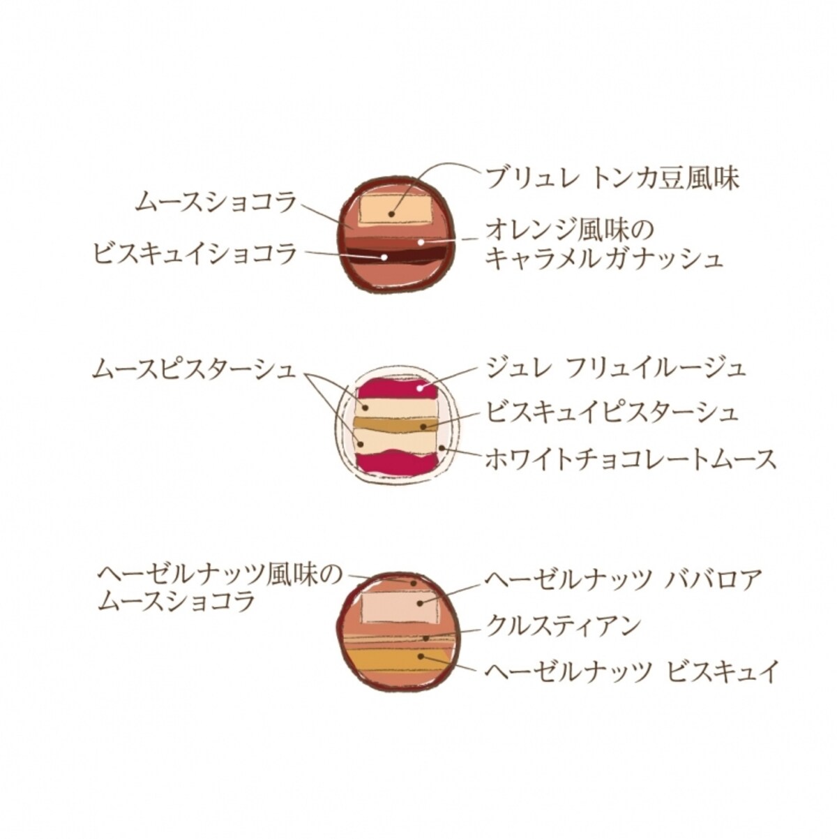 フール・ド・ノエル 断面