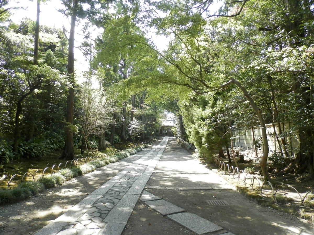 寿福寺の参道