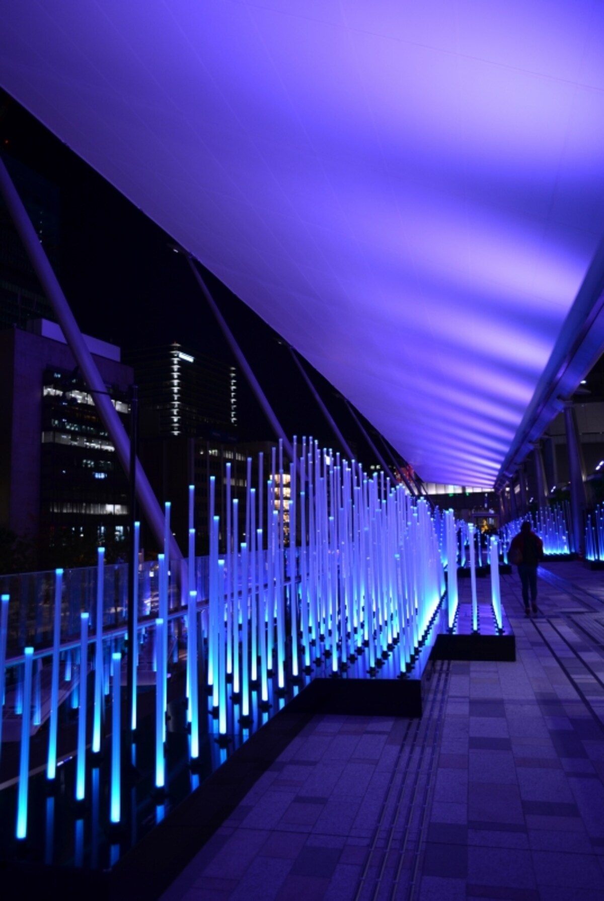 Tokyo Color 2015