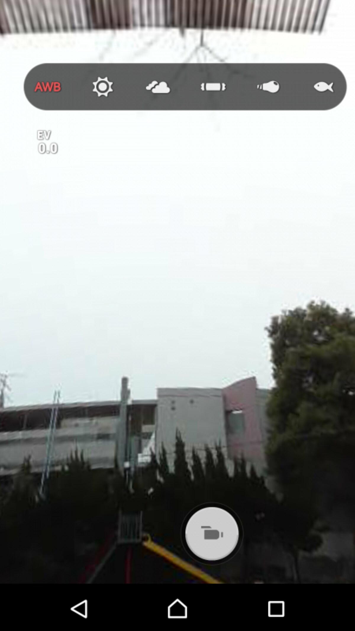 サブカット