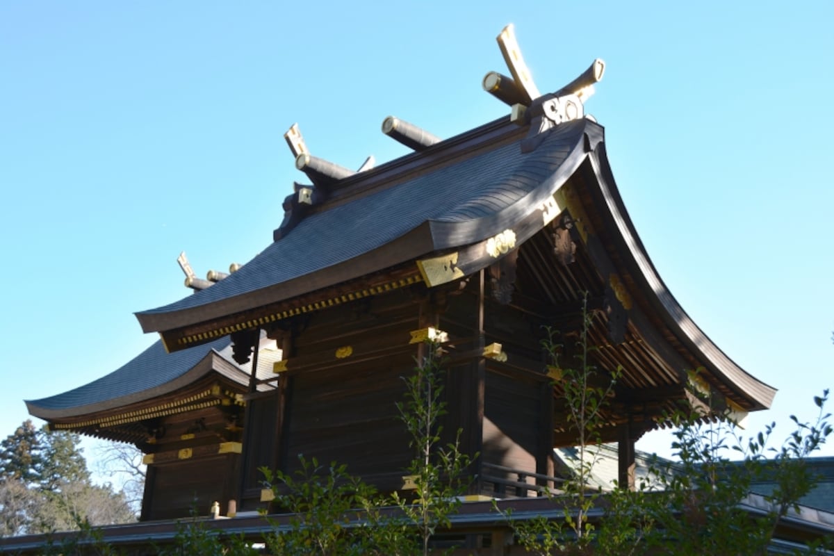 気品が満ち溢れる鷲宮神社本殿