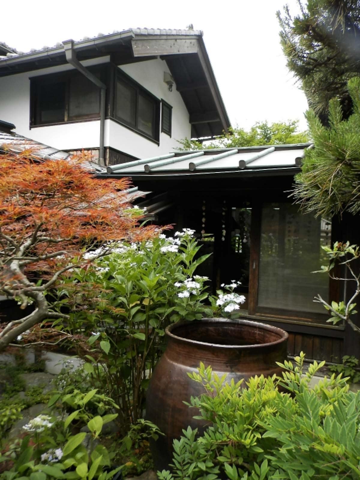 四季の草花が配されたお庭