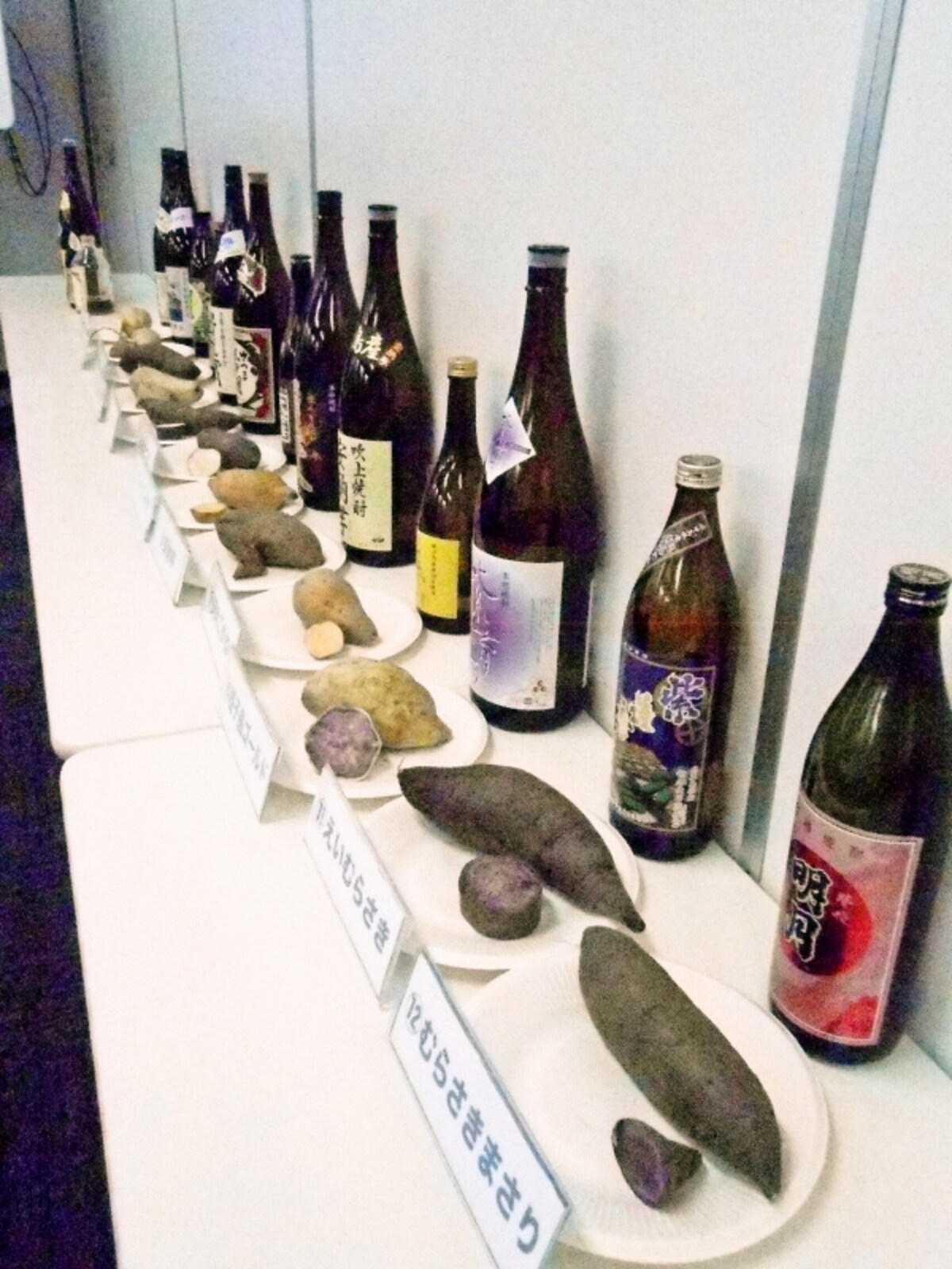 これだけの違う種類の芋と焼酎を一気に飲む機会はほとんどない