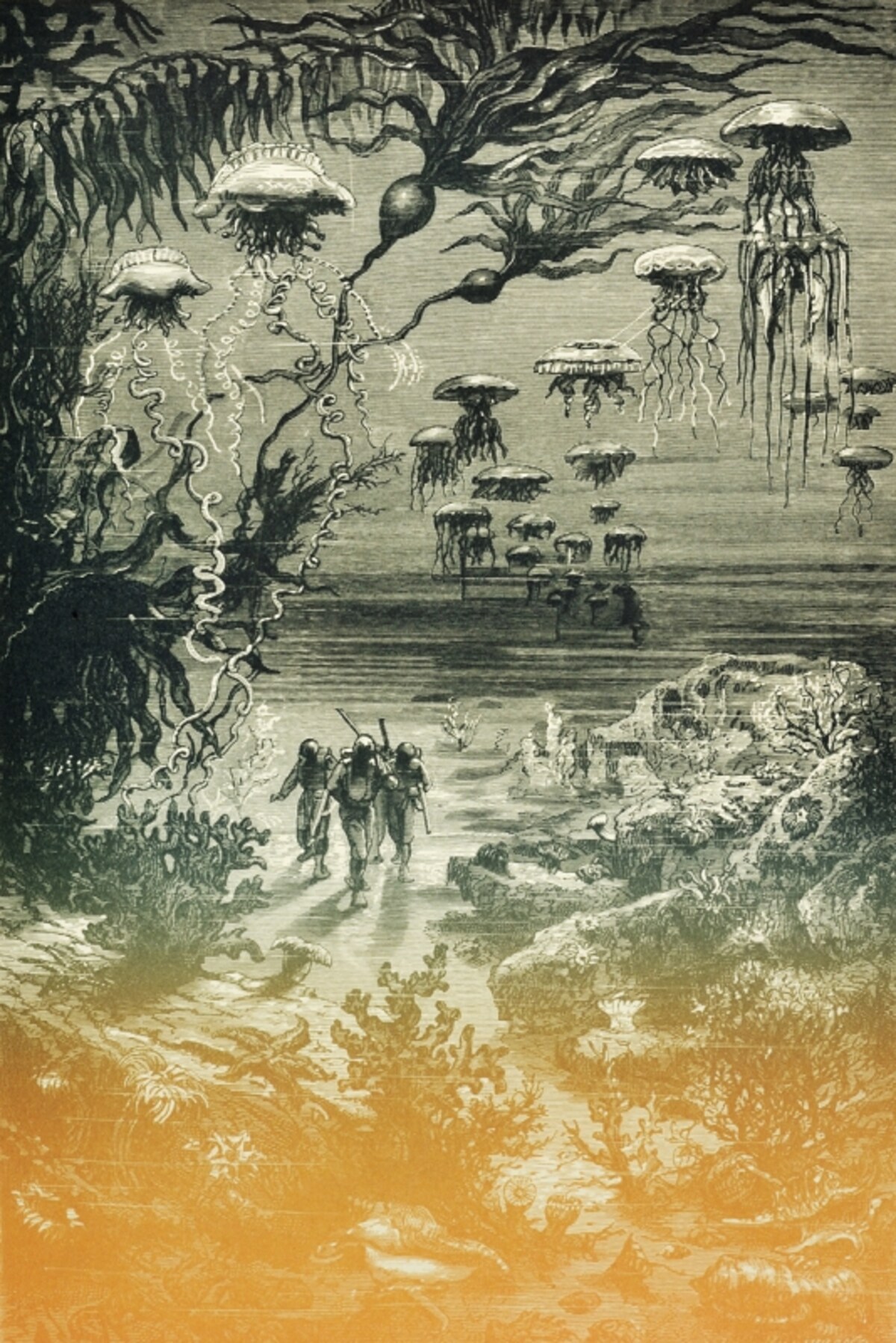 ジュール・ヴェルヌ著『海底2万マイル』（海底散歩の場面／アルフォンス・ド・ヌヴィル画）、梅花女子大学蔵