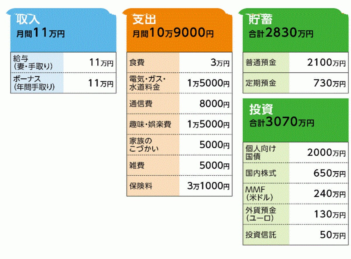 「あるひ」さんの家計収支データ