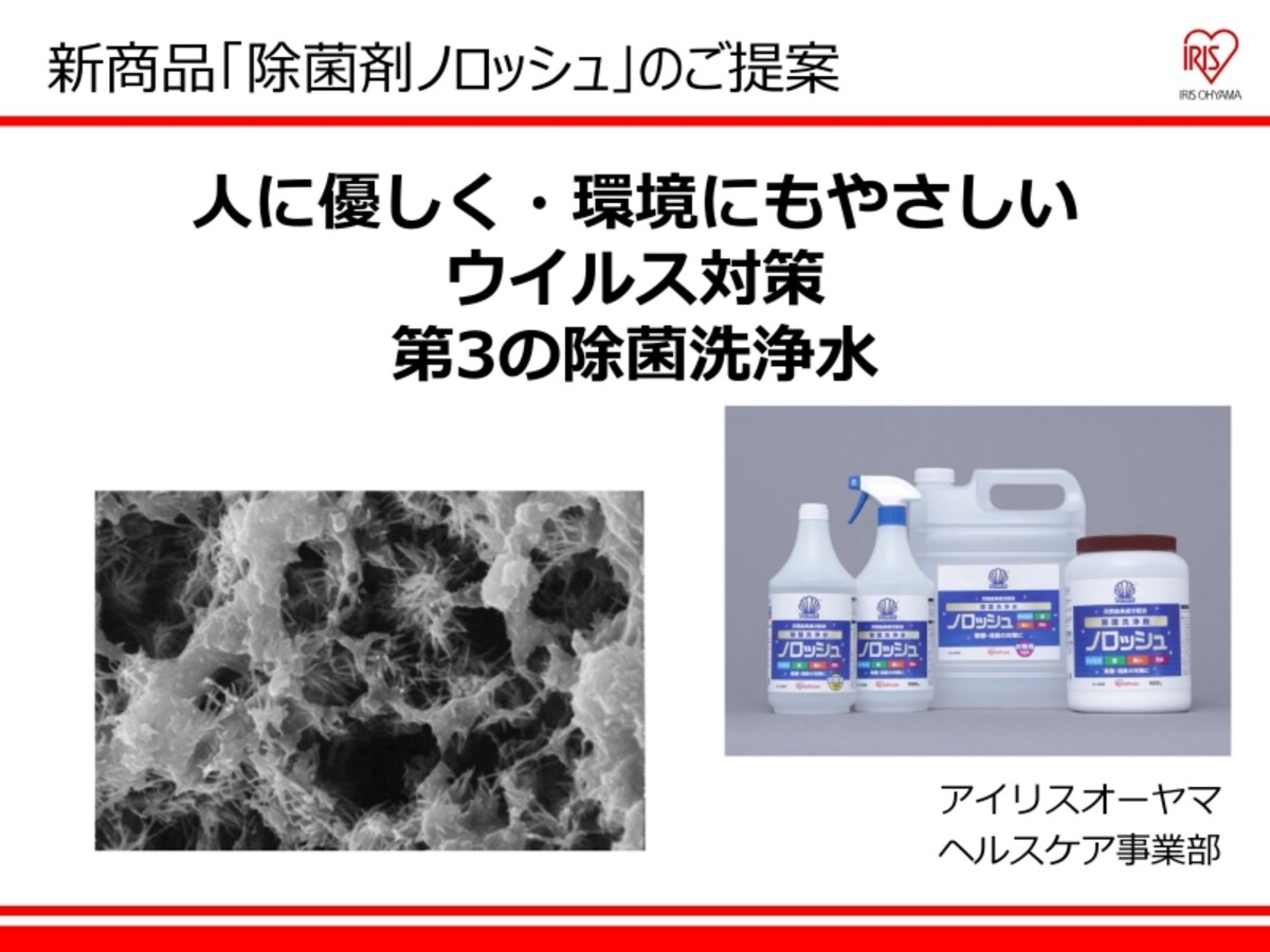 ノロッシュ
