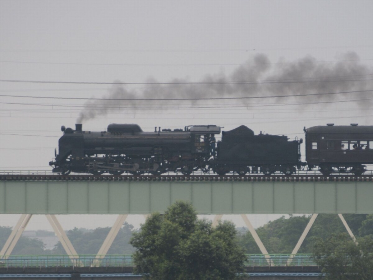 D51
