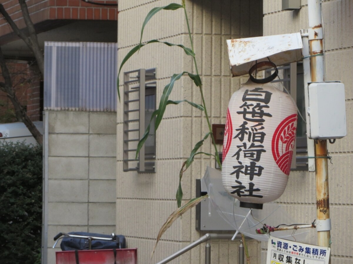 提灯