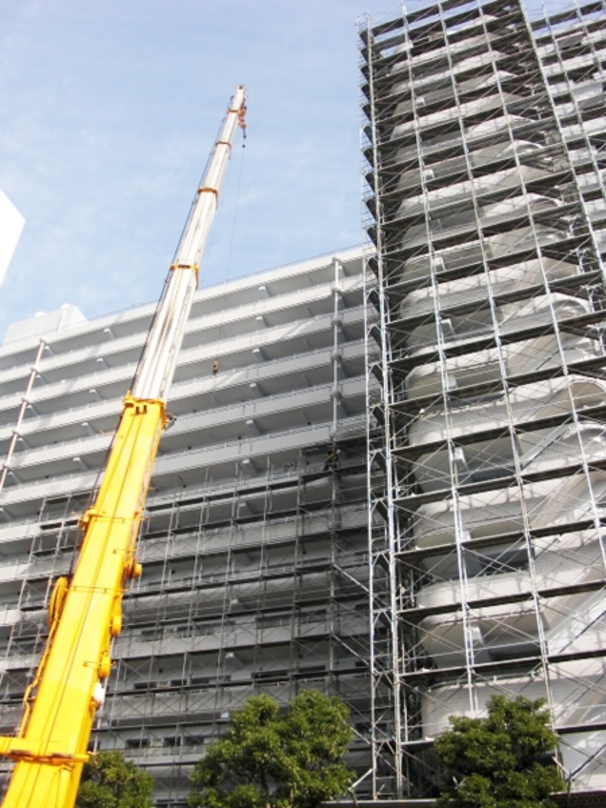 マンション