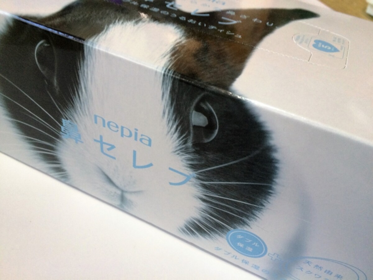 鼻セレブ