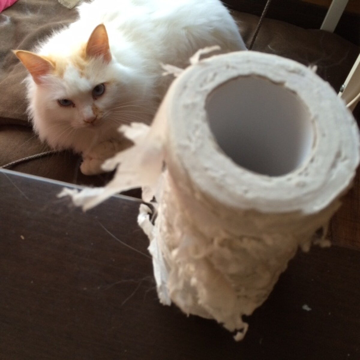 猛獣