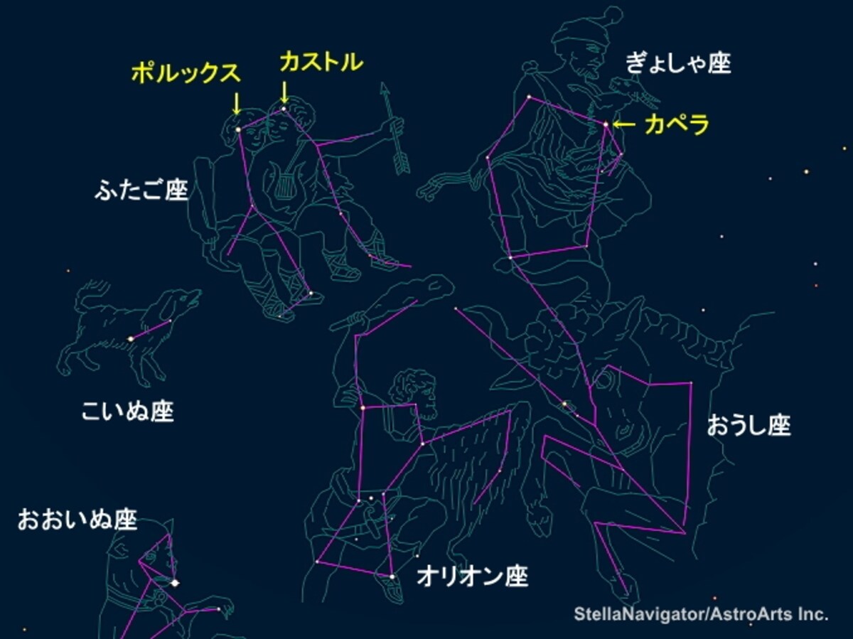 冬の星座たち