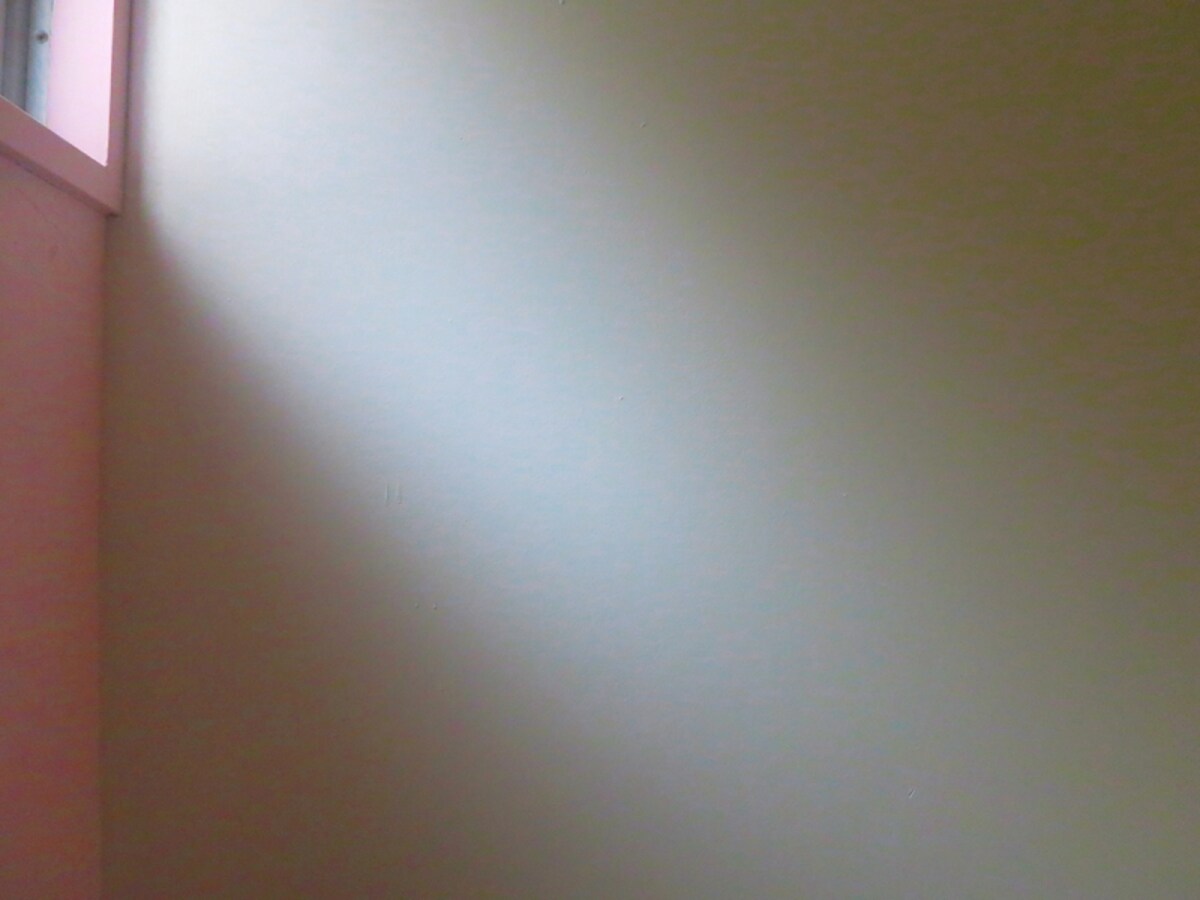 窓からの自然光が美しく映える壁面