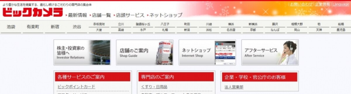 ビックカメラ　WEB