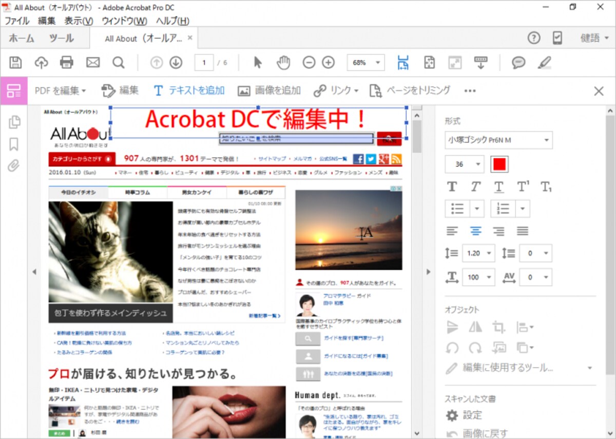 画像を変更して、新しい文字を追加してみました。PDFファイルを、ここまで細かく編集できるのは、Adobe Acrobat DCだけといってよいでしょう
