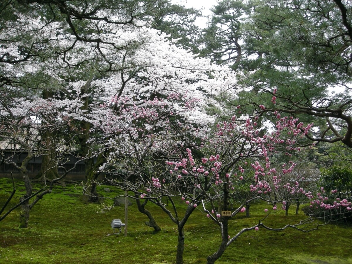 兼六園