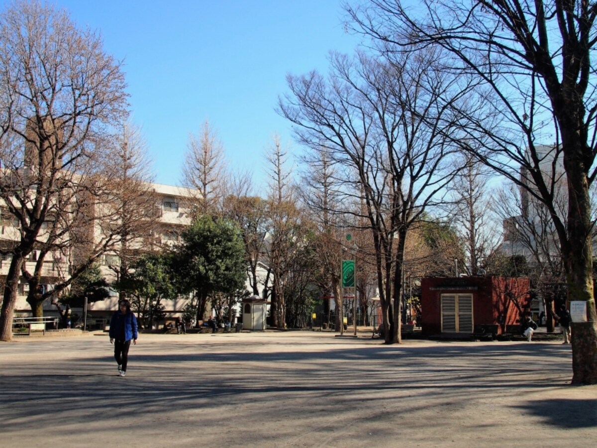 自然が多く、広い公園だ