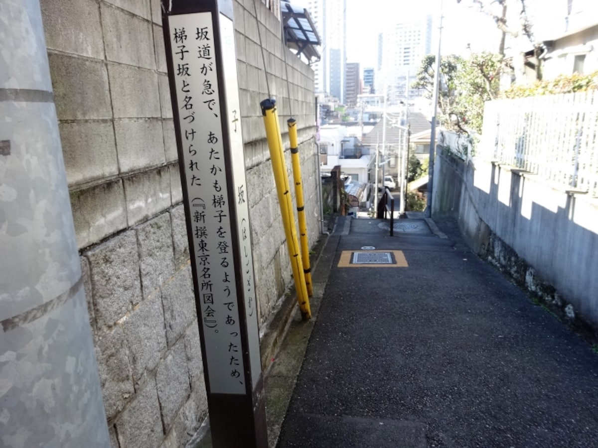 あたかも梯子をのぼるような急な坂だった