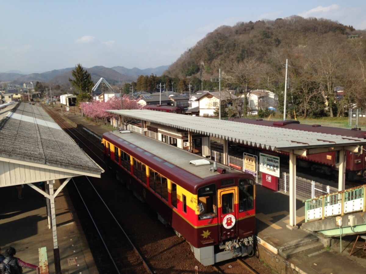 トロッコ列車 「わっしー号」