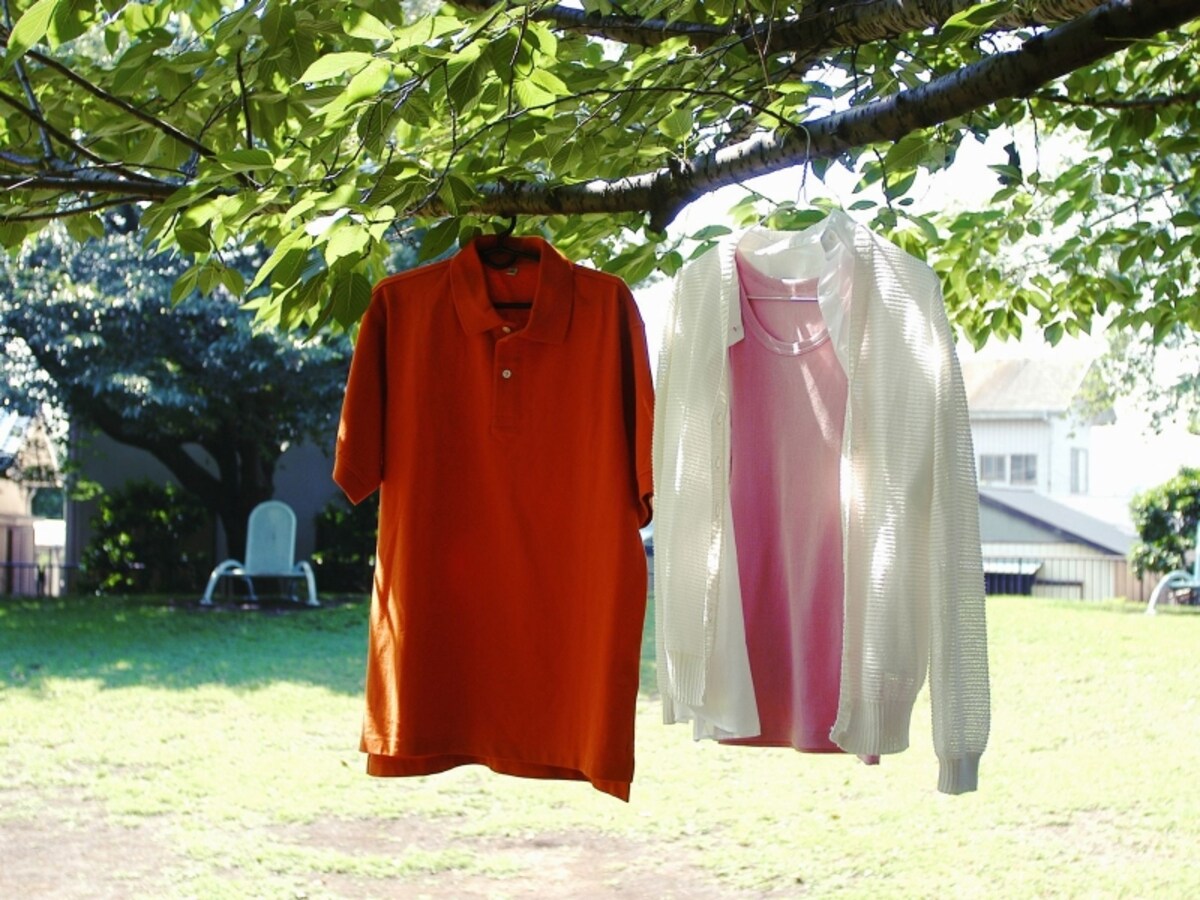 トップ