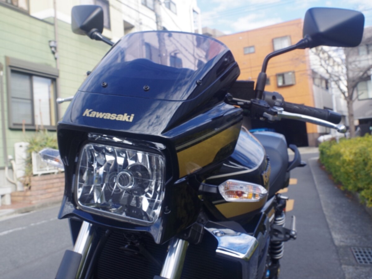 ZRX1200DAEG　ビキニカウル