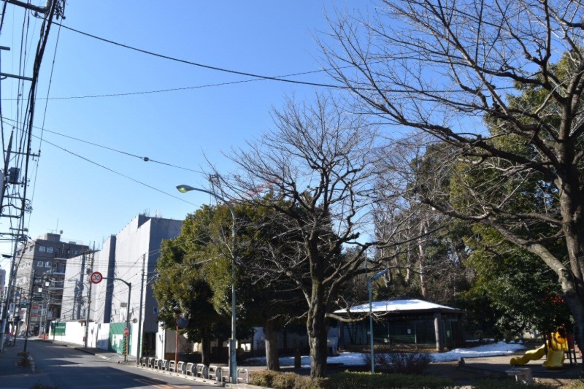 「ザ・パークハウス 国分寺緑邸」の建設地
