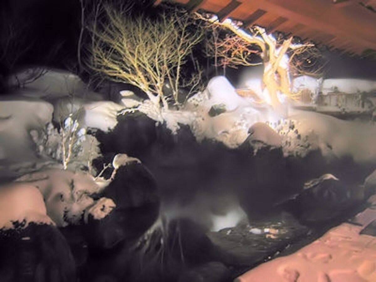 法師温泉長寿館の雪見露天風呂