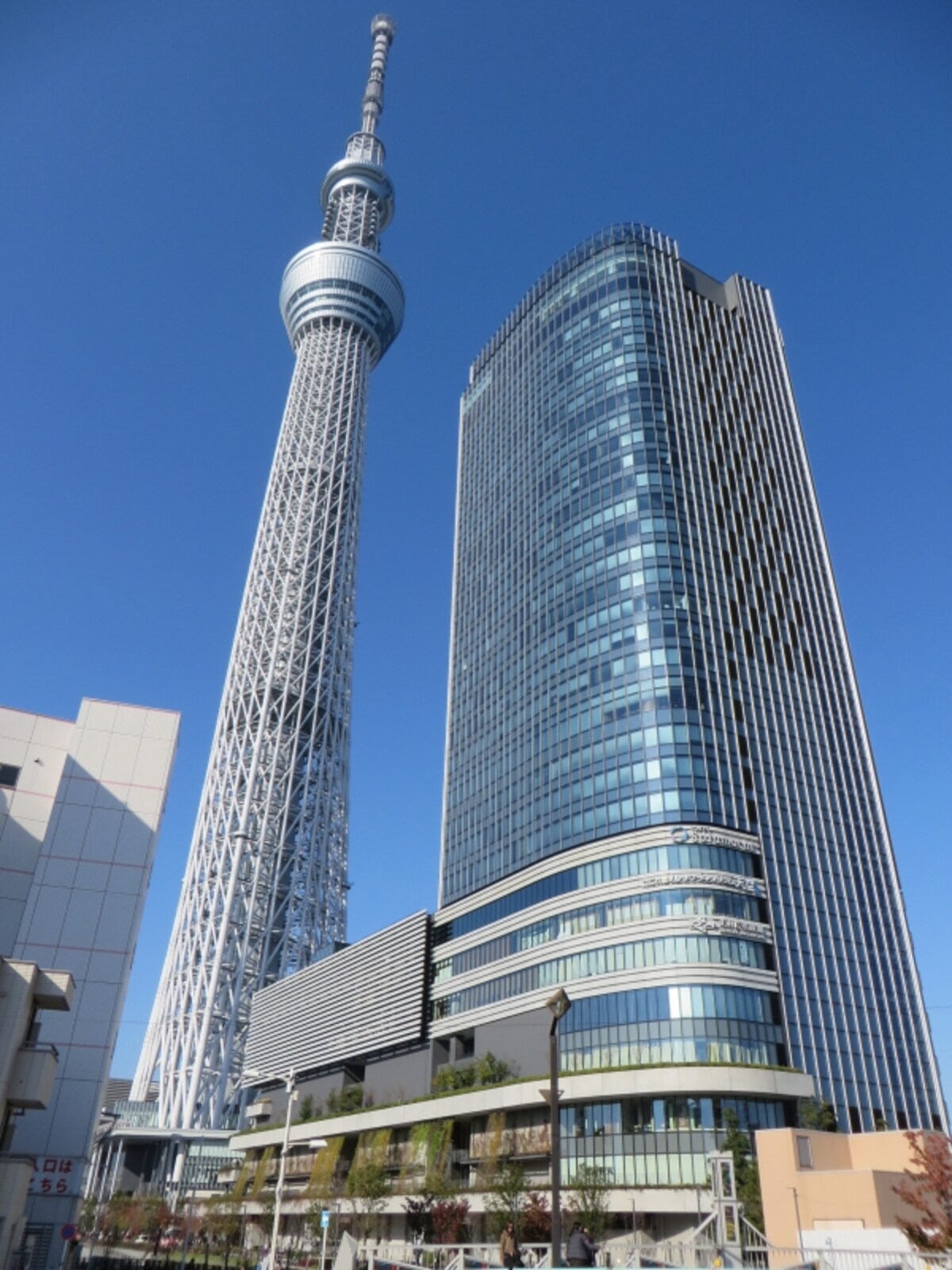 スカイツリー