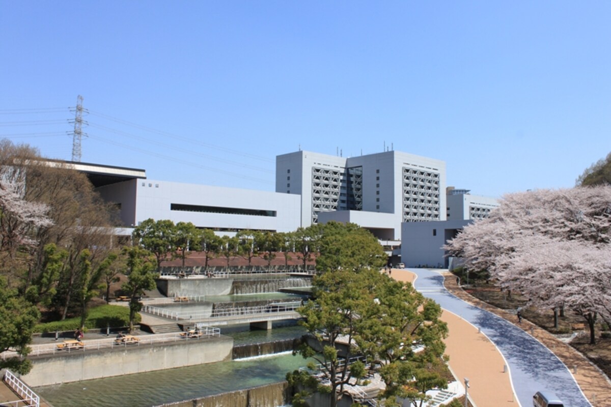解説画像