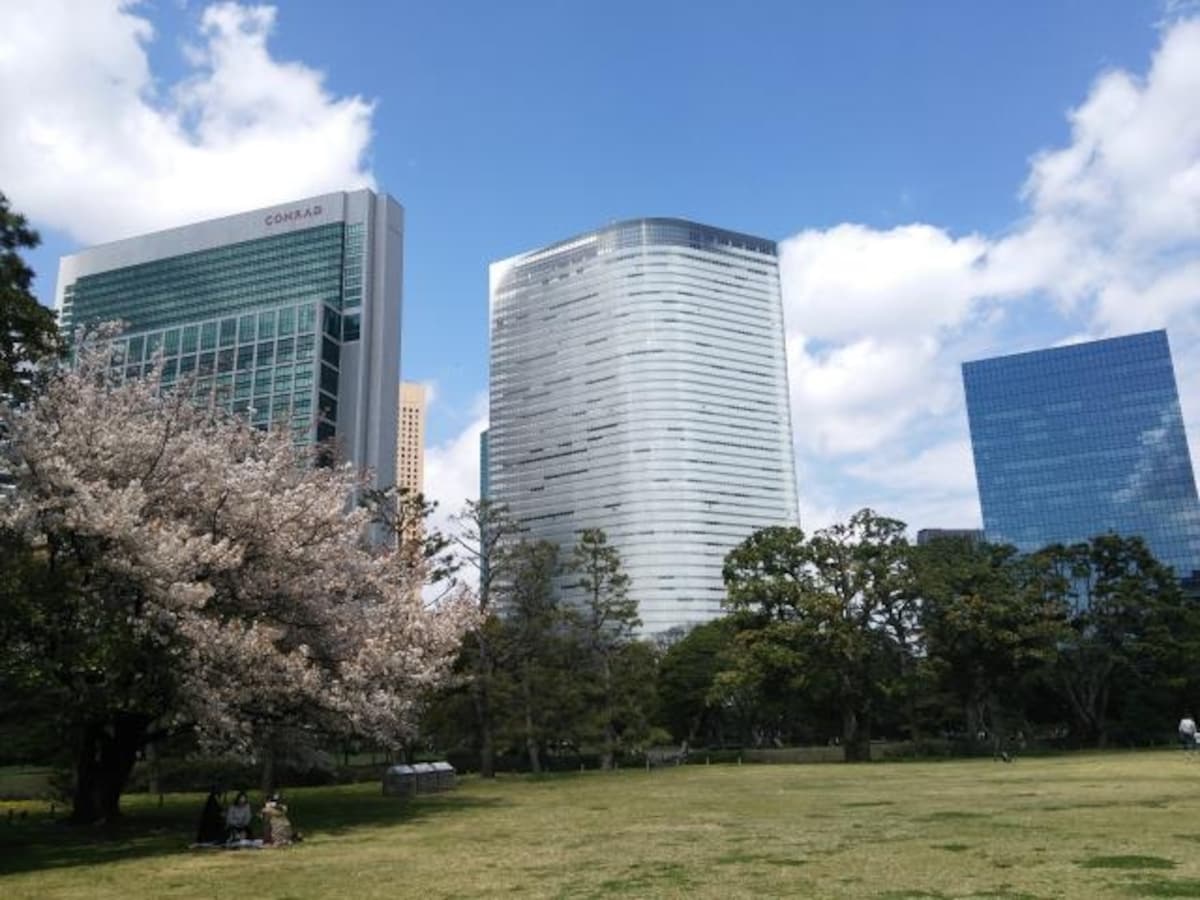 浜離宮恩賜庭園の桜(2)