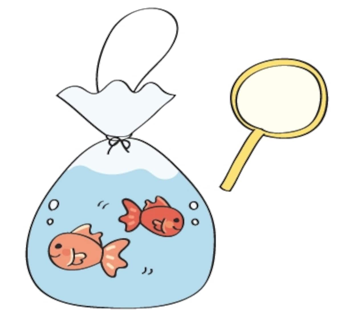  金魚　夏祭り　イラスト　カラー　かわいい