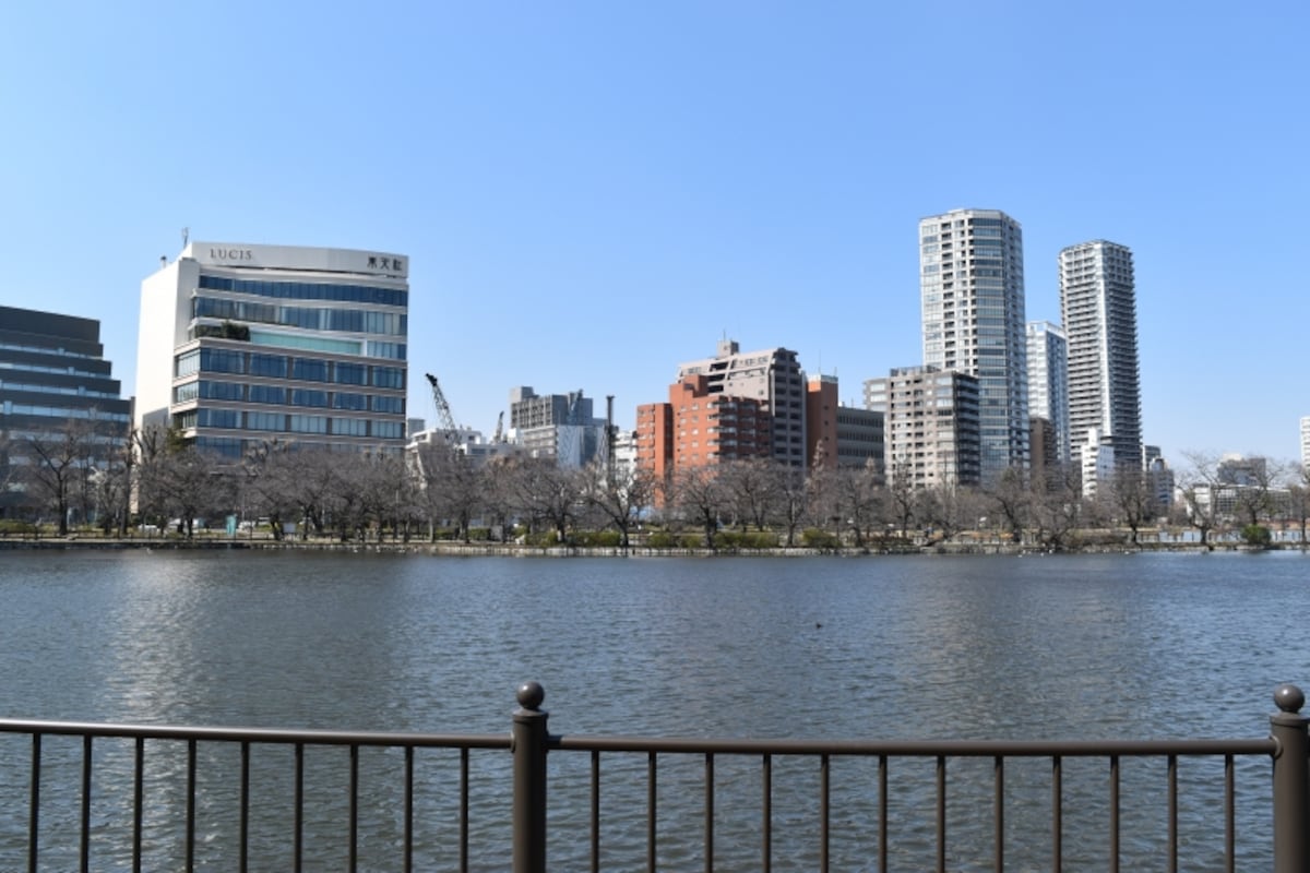 「Brillia Tower 上野池之端」の現地を望む