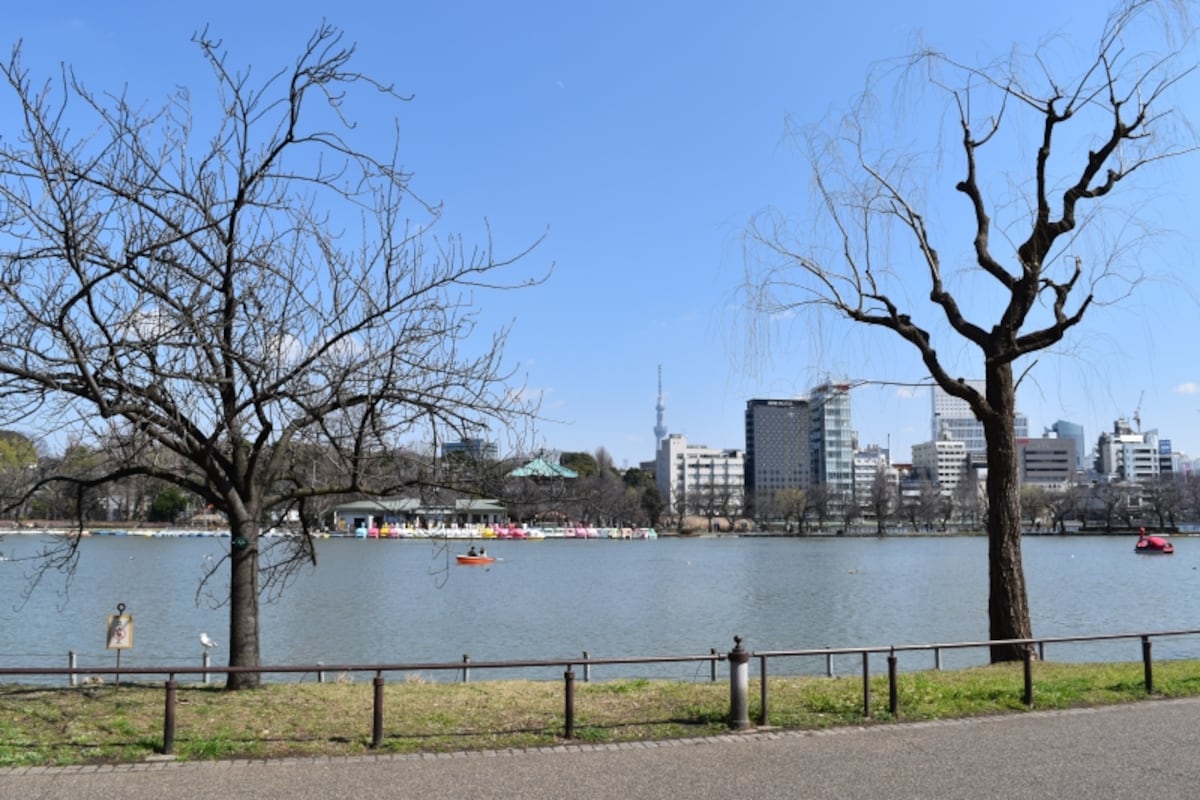 不忍池のほとり
