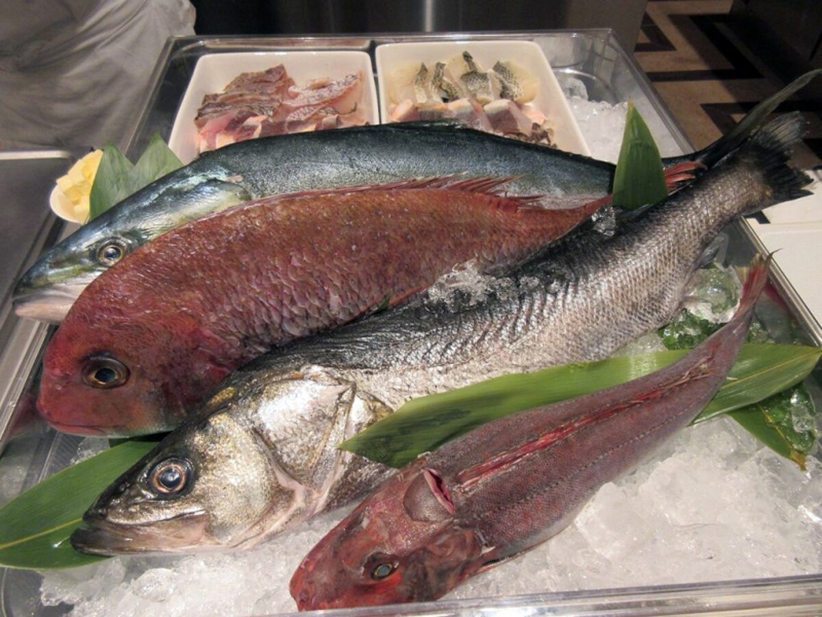 各地より取り寄せた日替わり魚介の鉄板焼き