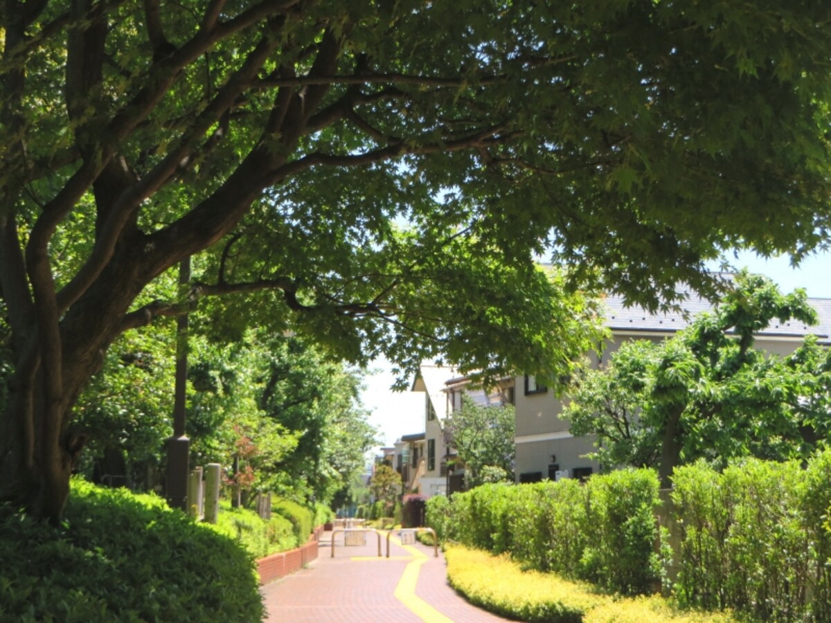 緑道