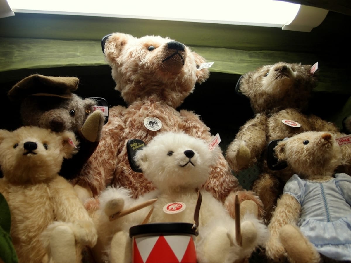 teddy