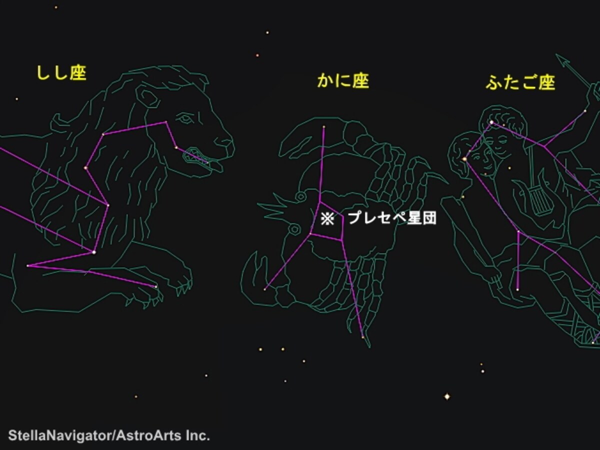 ふたご座、かに座、しし座