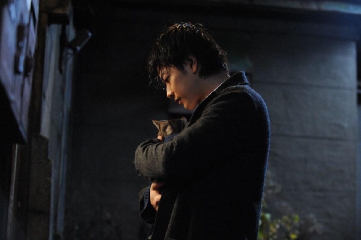 映画でも現実世界でも、猫はさまざまなことを教えてくれます