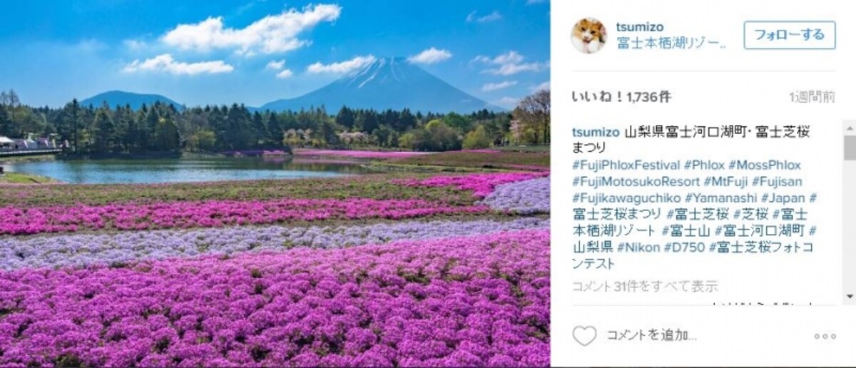 https://www.instagram.com/p/BE0MsXNA_4C/?taken-by=tsumizo